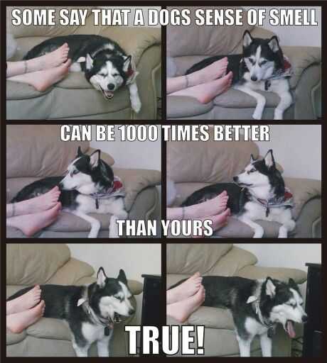 Funny 1000 Times