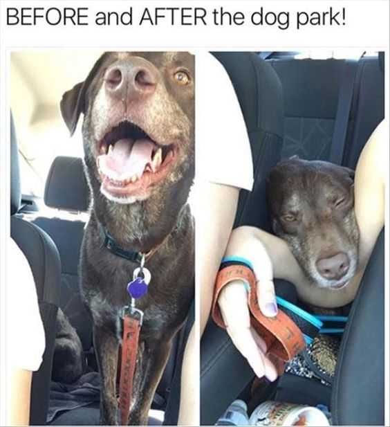 Funny Before After