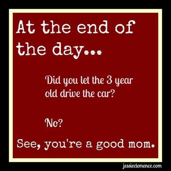Meme Good Mom