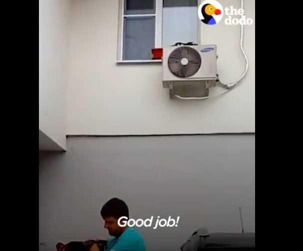 Screen Shot 2018 08 20 At 1.35.06 Am
