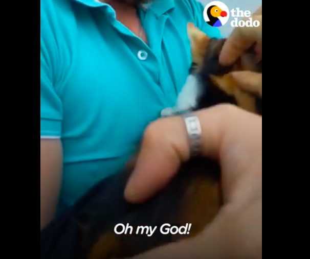 Screen Shot 2018 08 20 At 1.41.39 Am