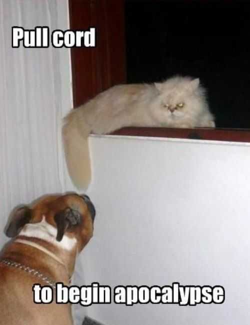 Funny Begin Cord