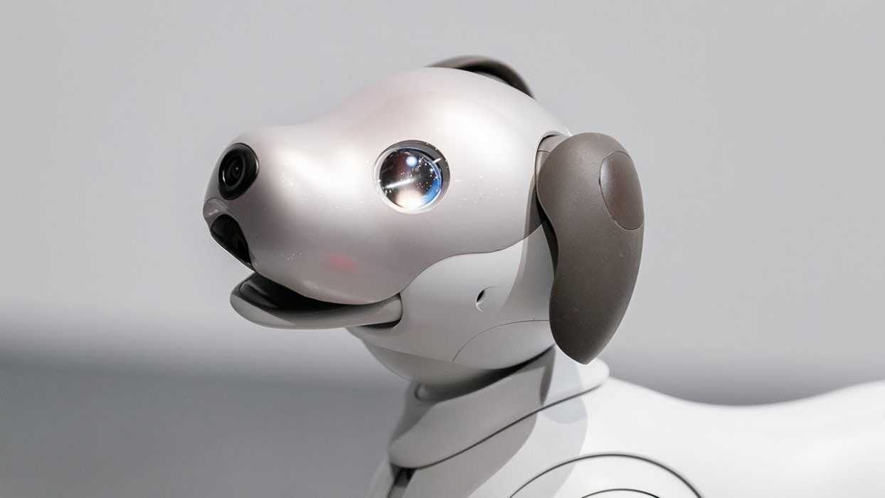 Sony Dog Robot