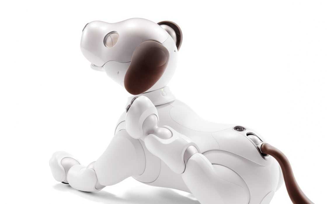 Sony Robot Scratch