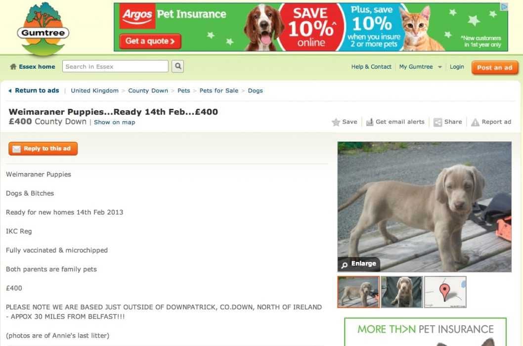 Wordpress Gumtree