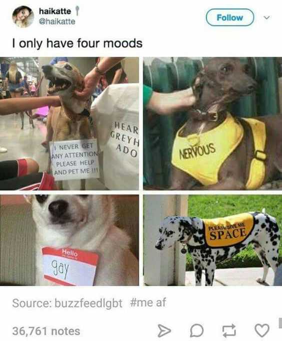 Funny 4 Moods