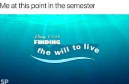 Funny Finding Will