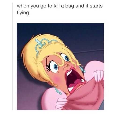 Funny Kills Flies
