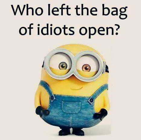 Minion Bag Open