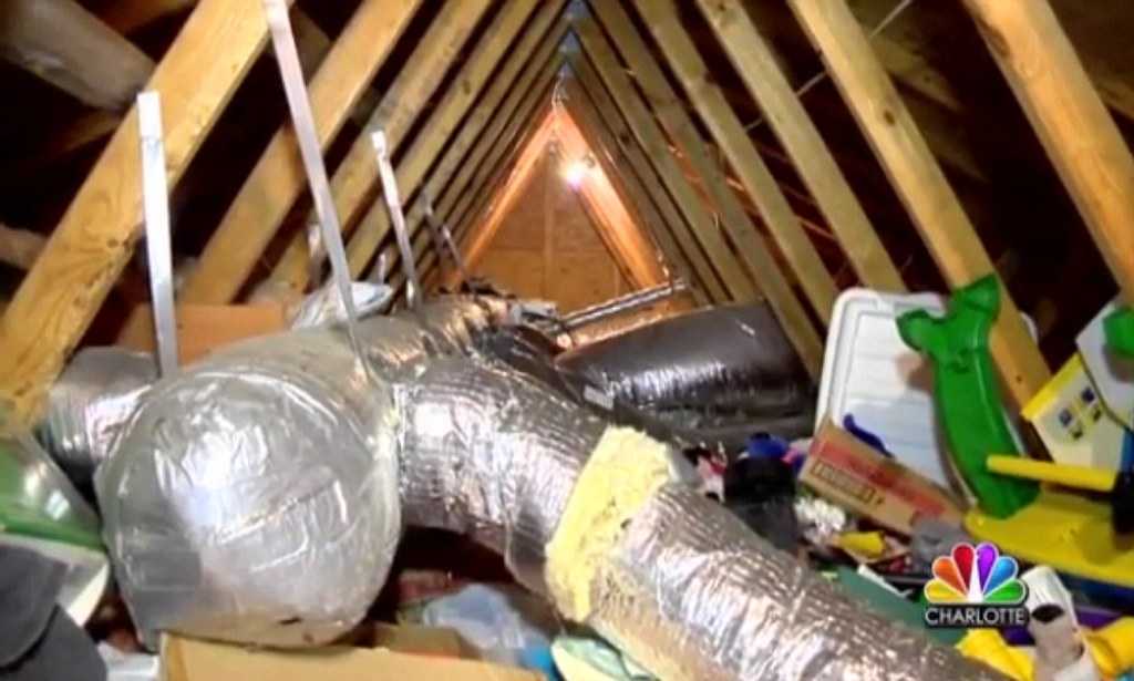 Attic 1 Daily Mail