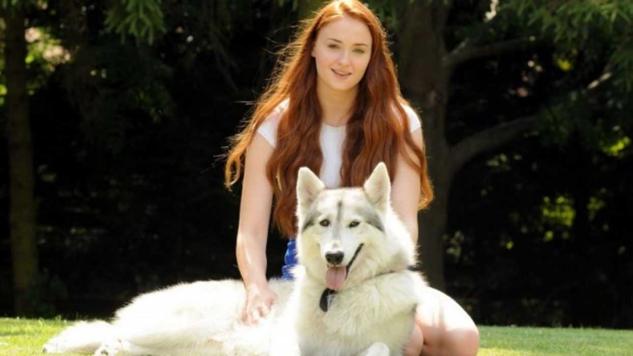 Giz