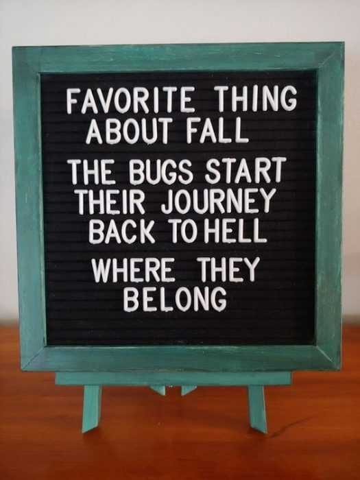 Funny Letter Board Quotes Fall Love