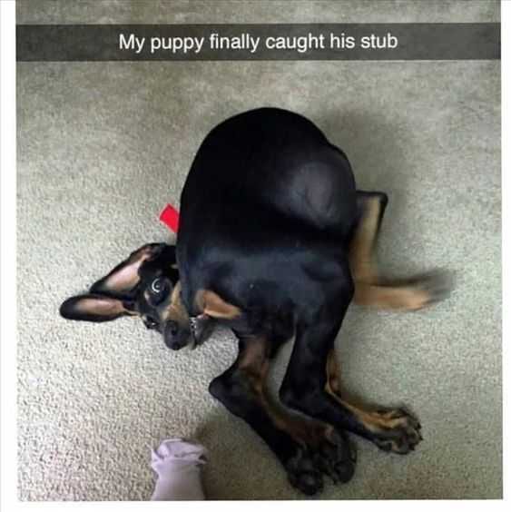 Funny Caught