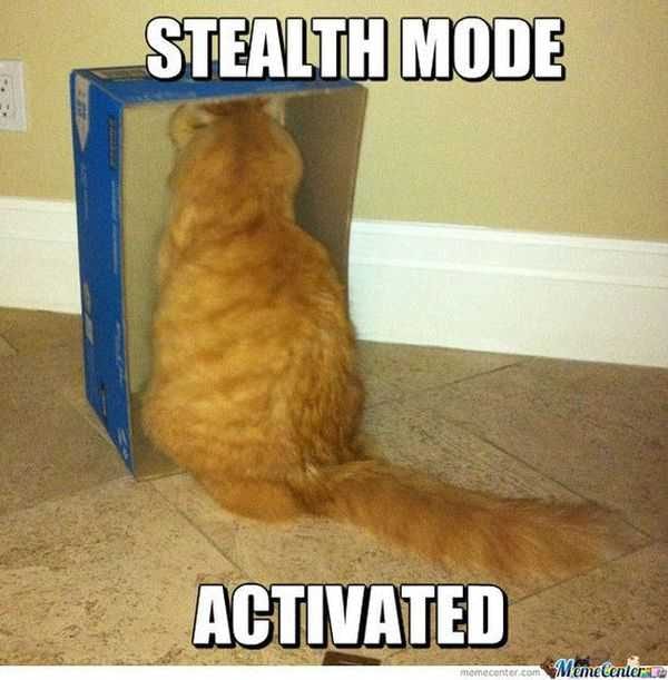 Funny Activated