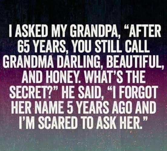 Sarcastic Witty Pun 3 Getting Old Quotes