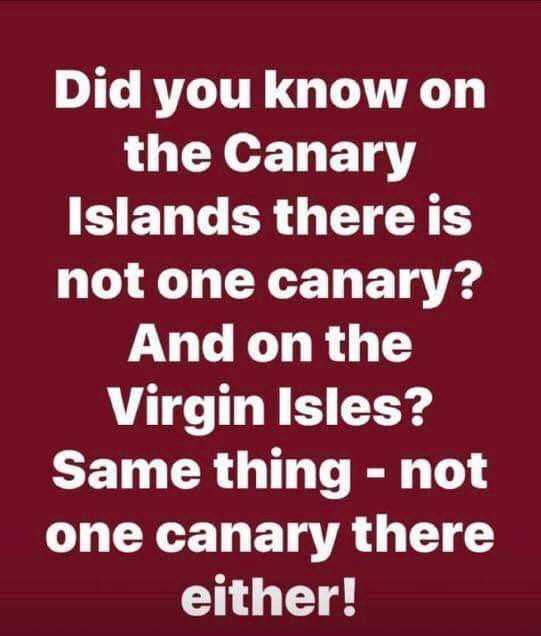 Witty Quotes 5 Geography Quotes