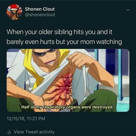 Meme Destroyed