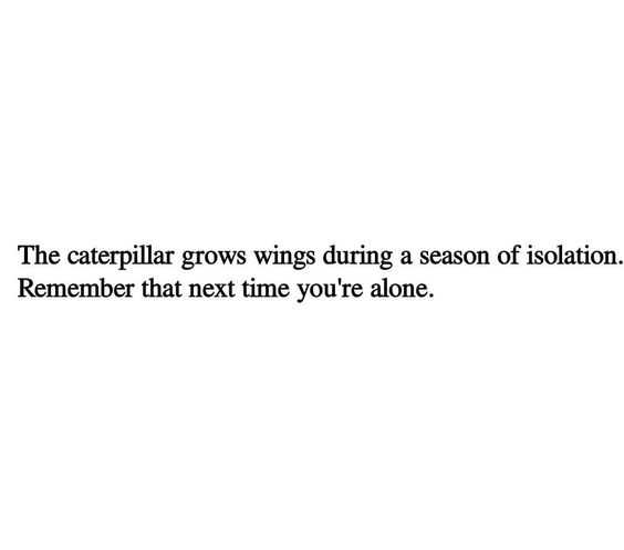 Quote Grows Wings
