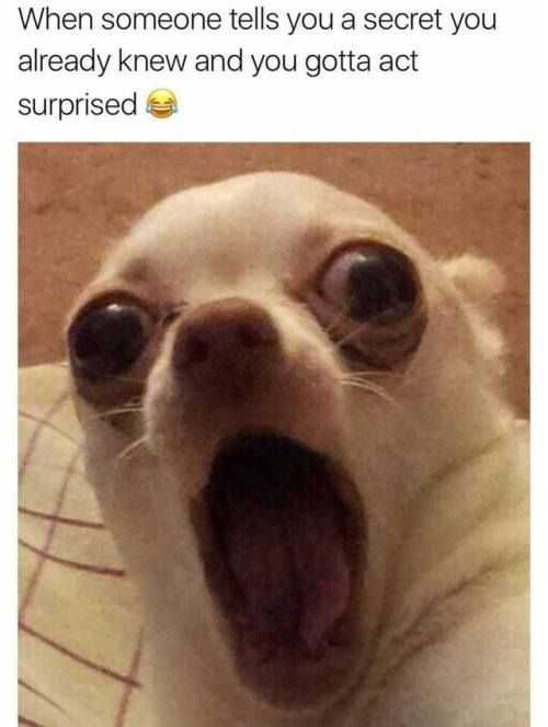 Funny Act Surprised