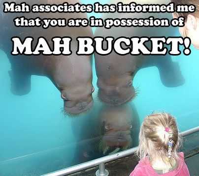 Animal Bucket