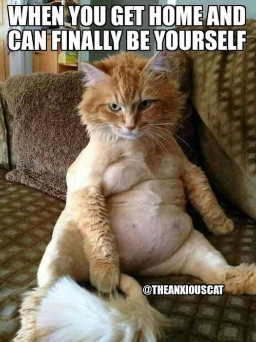 Funny Be Yourself