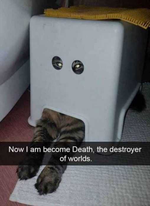 Funny Destroyer Worlds
