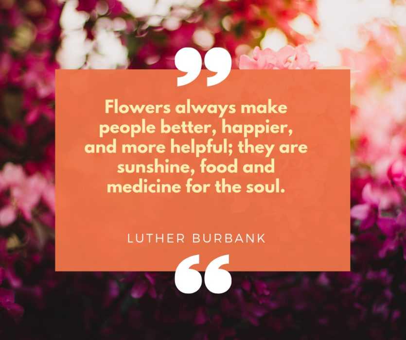 Inspiring Quotes For Nature Lovers