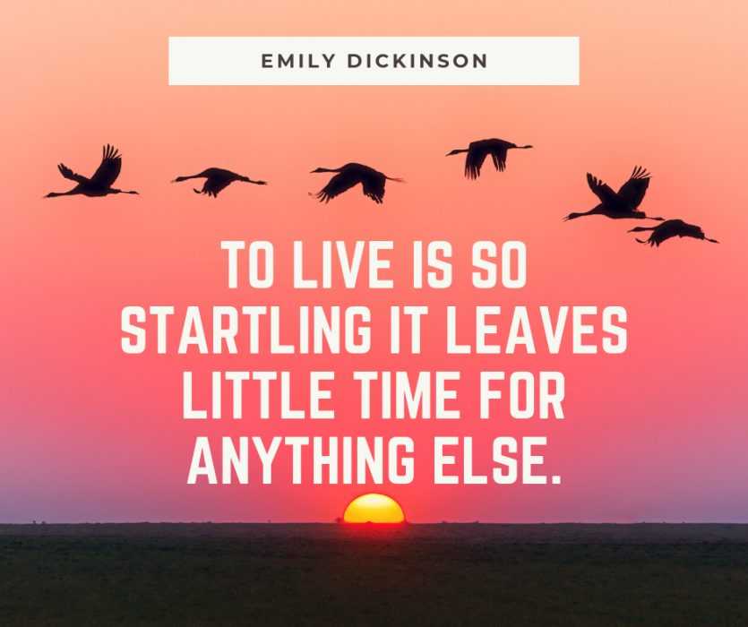 Quote To Live So