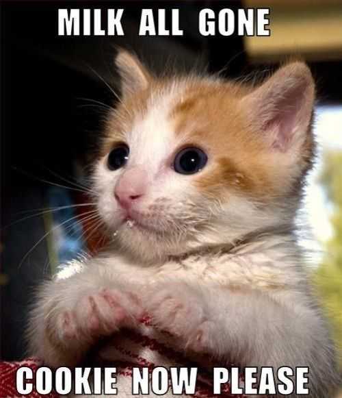 Funny Milk Gone