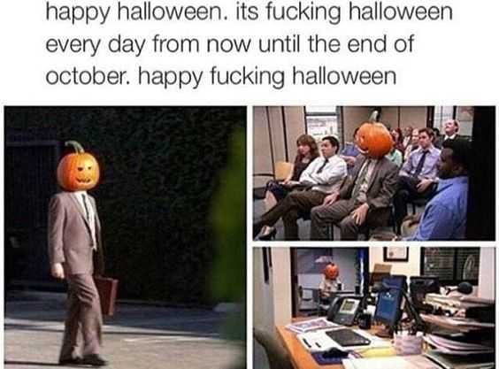 Fall Every Day
