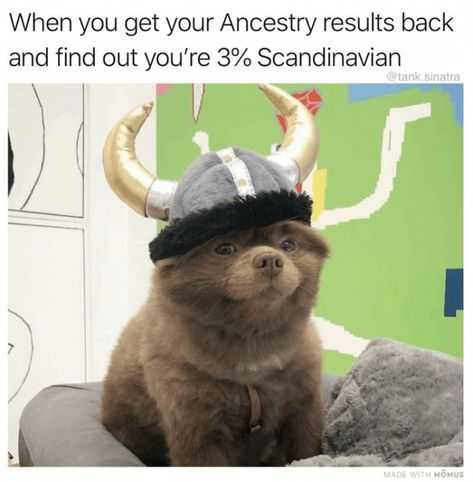 Funny Ancestry Dog