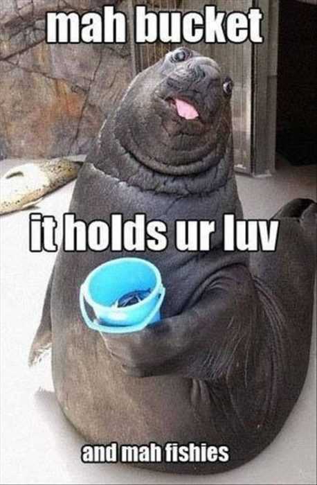Funny Bucket Love