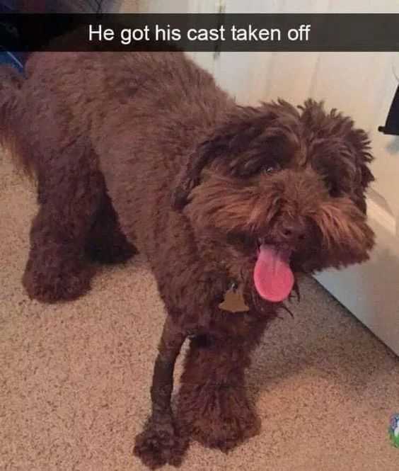 Funny Cast Off