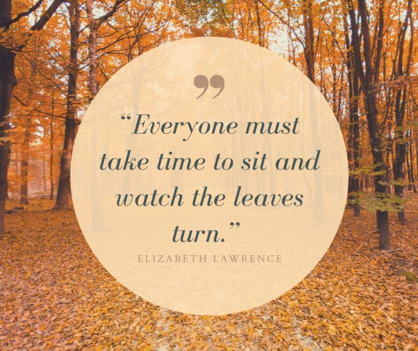 Quote Everyone Must