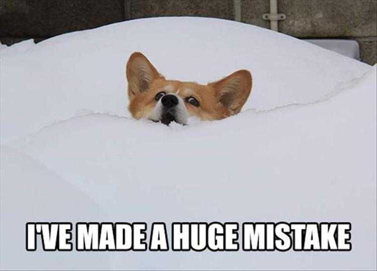 Funny Mistake