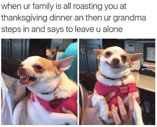 Funny Roasting Alone