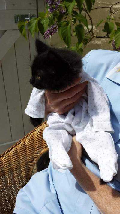 Funny Black Cat Pjs