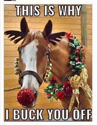 Funny Buck