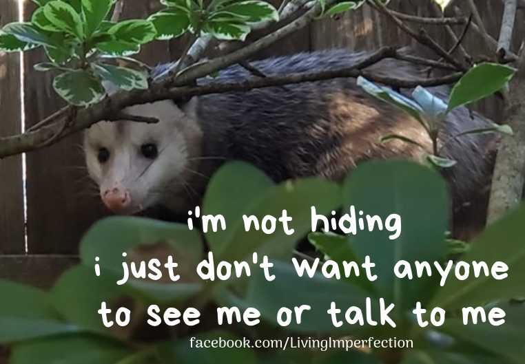 Funny Not Hiding