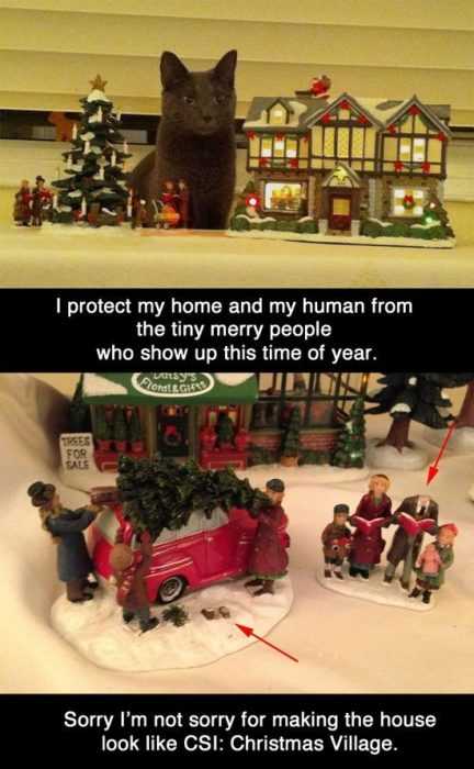 Funny Tiny Village