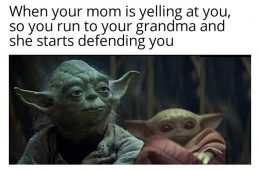 Yoda Mom Defending 1