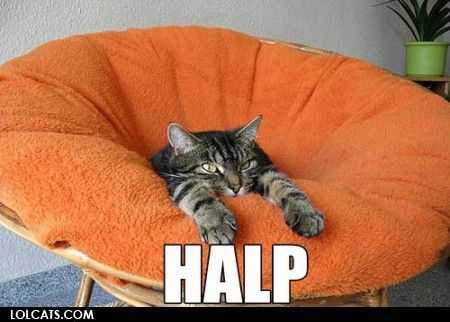 Cat Orange Chair