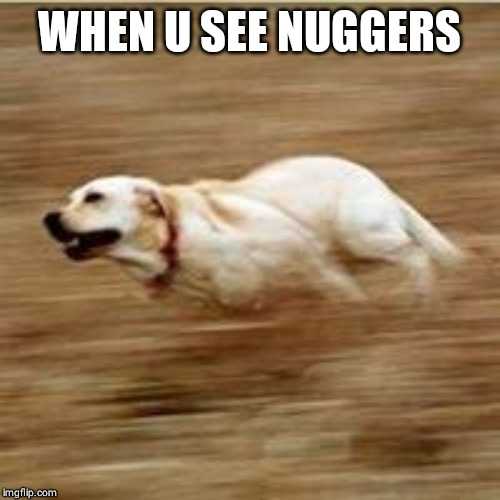 Funny Nuggers