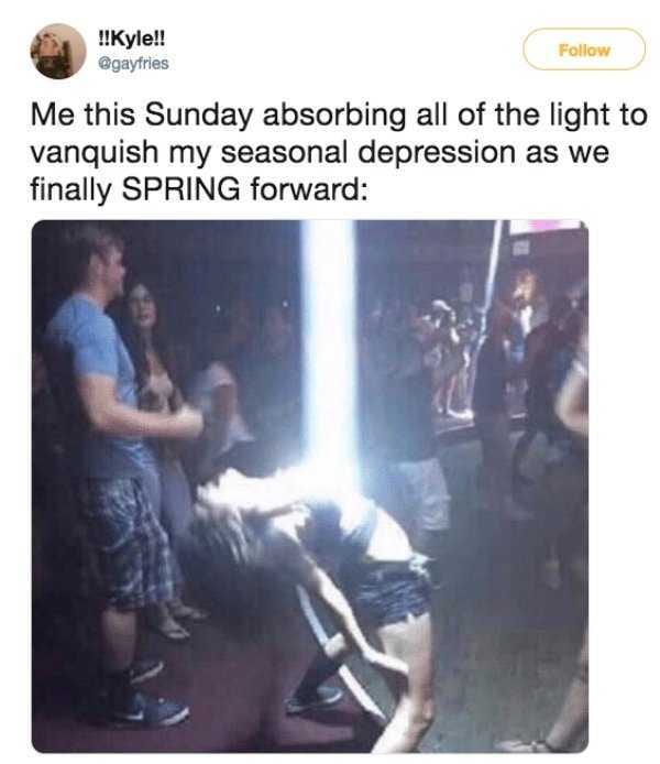 Day Dabsorb