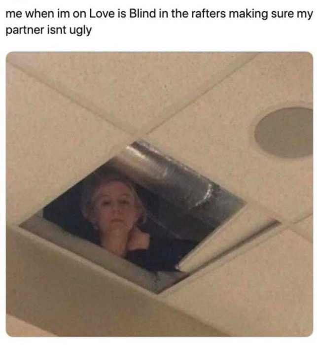 Funny In The Rafters