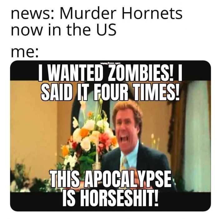 Murder Hornet Meme Featuring Will Ferrel Wanting Zombies And Not Hornets