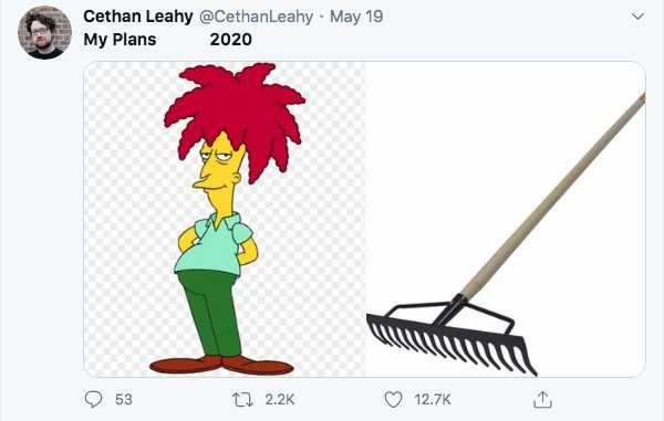 Plans 2020 Sideshowbob
