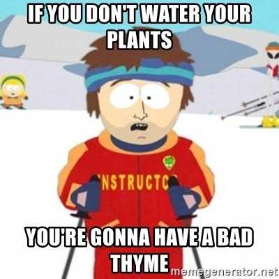 Garden Bad Thye