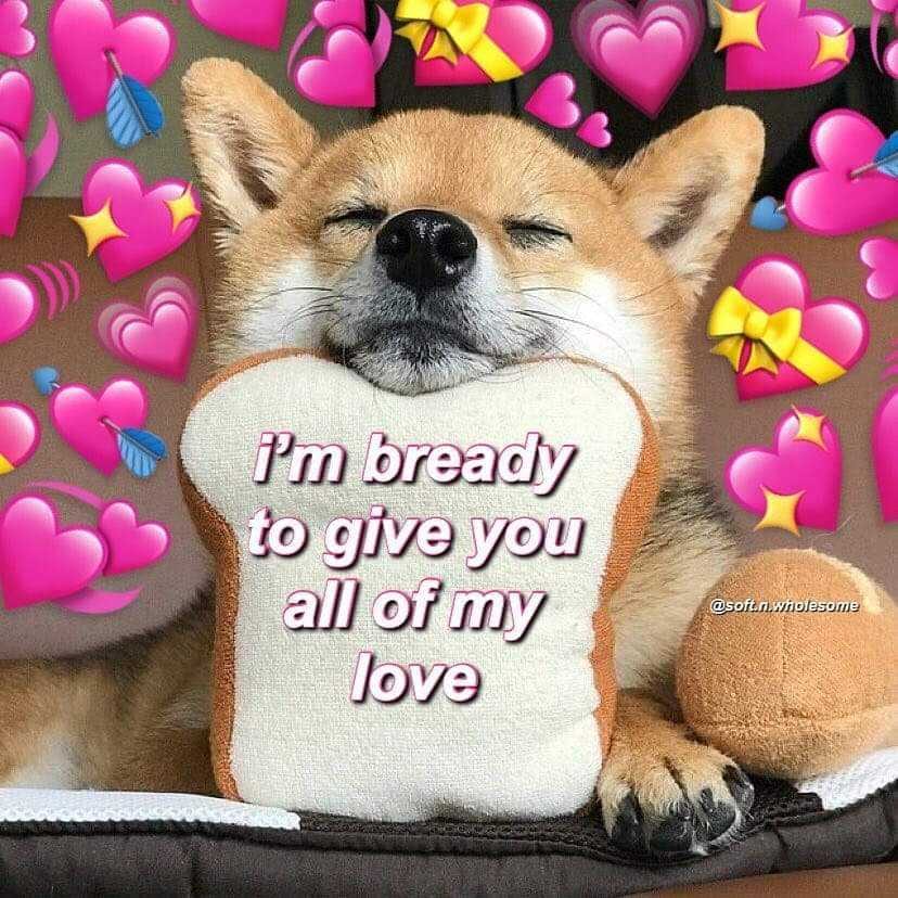 Meme Breddy