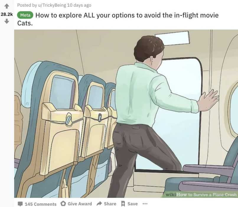 Wiki Cat Flight